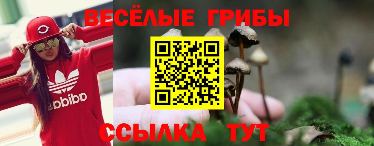 Псилоцибиновые грибы мицелий  Псилоцибиновые грибы мухоморы  Алексин  Вход с VPN 
